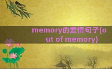 memory的爱情句子(out of memory)